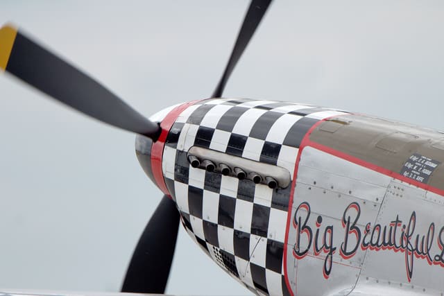 - Warbird
