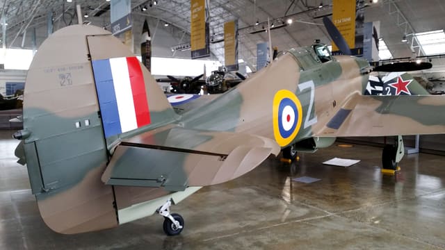 - Warbird