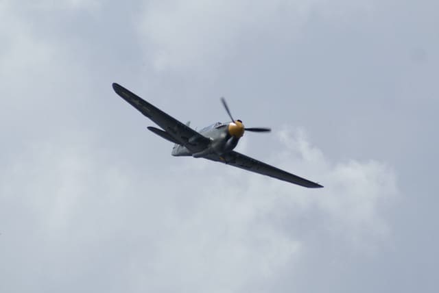 - Warbird