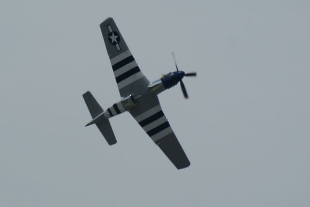 - Warbird