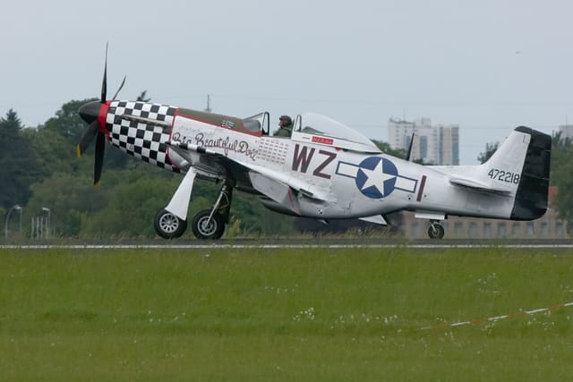 - Warbird