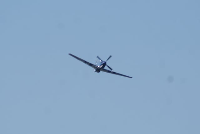 - Warbird