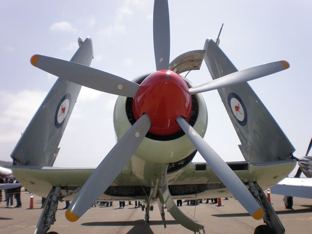 - Warbird
