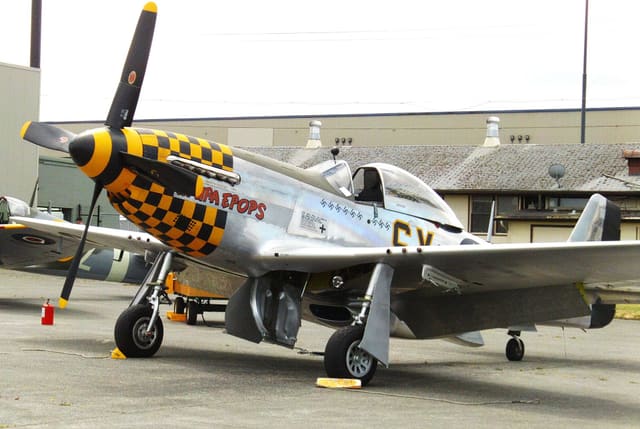 - Warbird