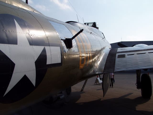 - Warbird