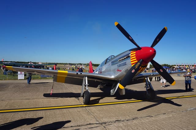 - Warbird
