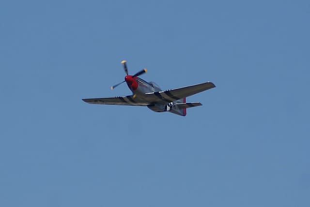 - Warbird