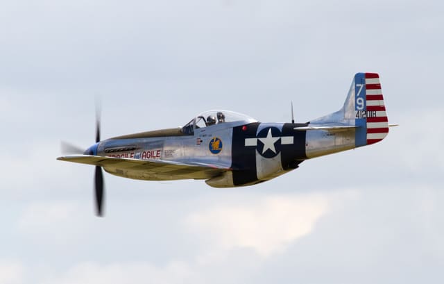 - Warbird