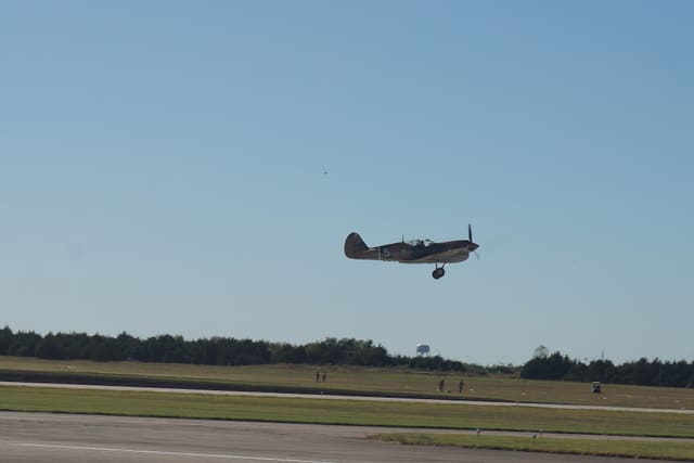- Warbird