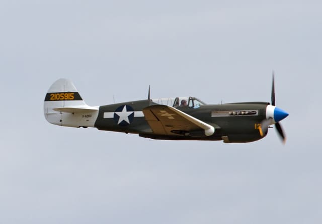 - Warbird