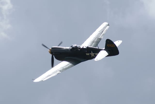 - Warbird