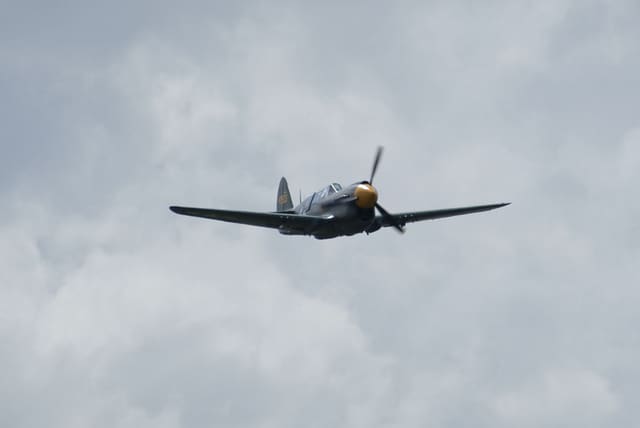 - Warbird