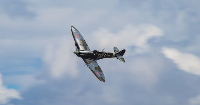 - Warbird