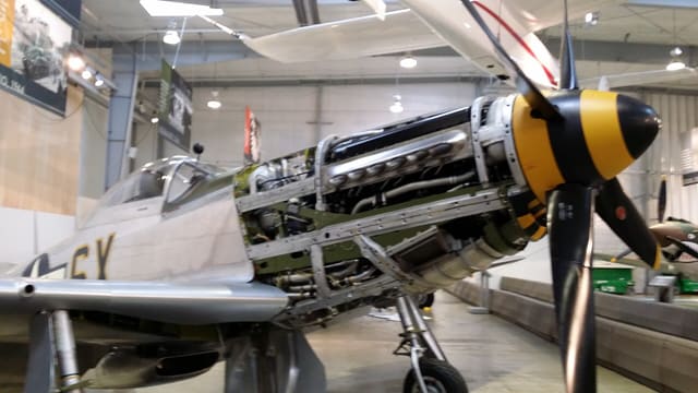 - Warbird