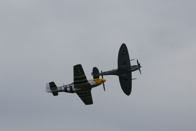 - Warbird