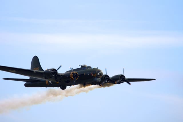 - Warbird