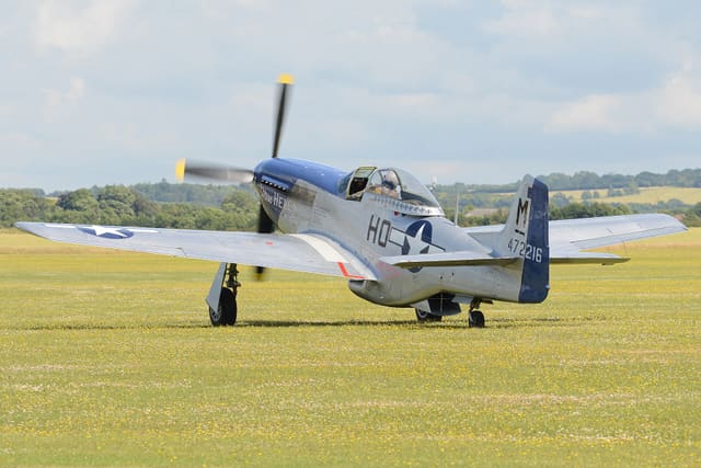 - Warbird
