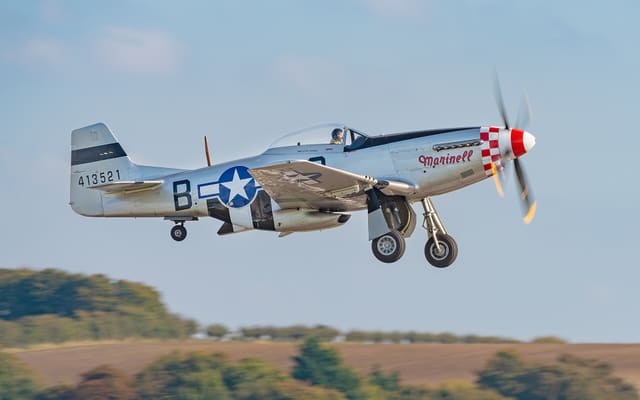 - Warbird