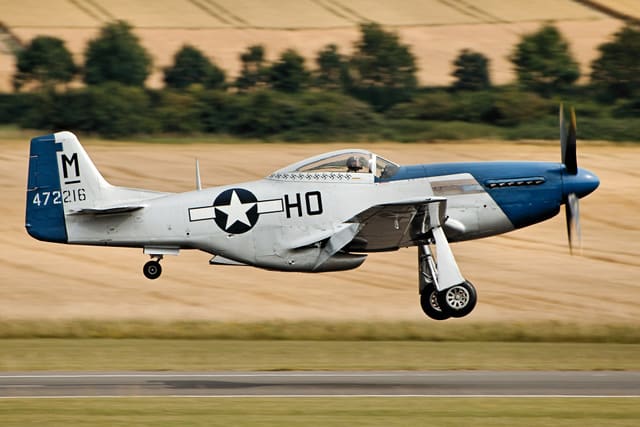- Warbird