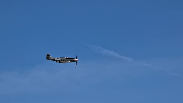 - Warbird