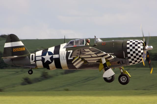 - Warbird