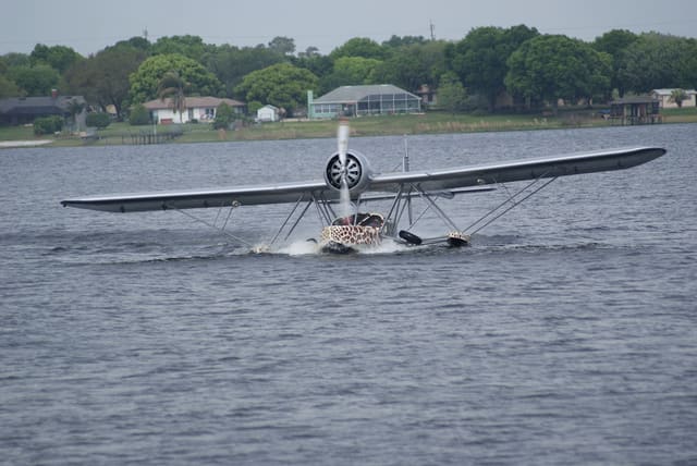 - Single-engine aircraft