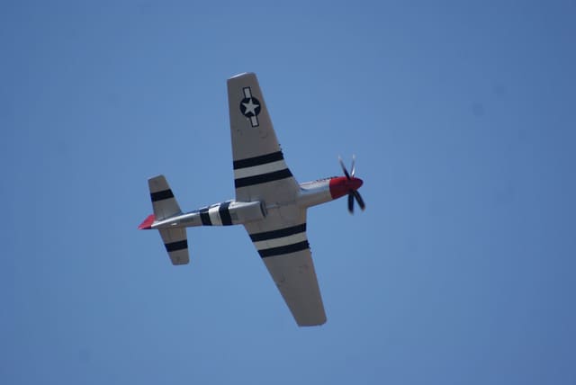 - Warbird