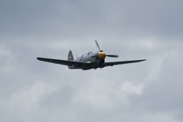 - Warbird