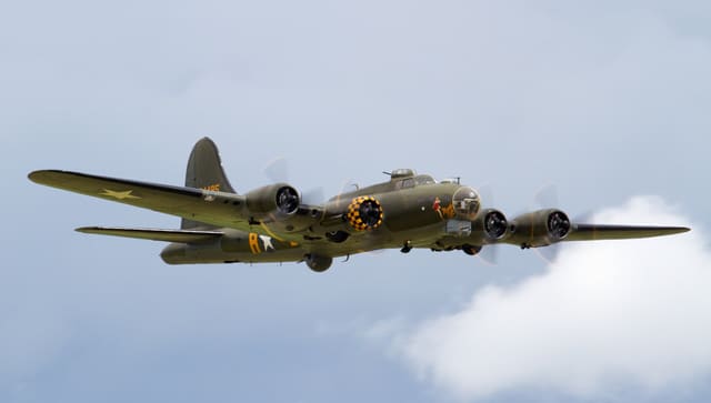 - Warbird