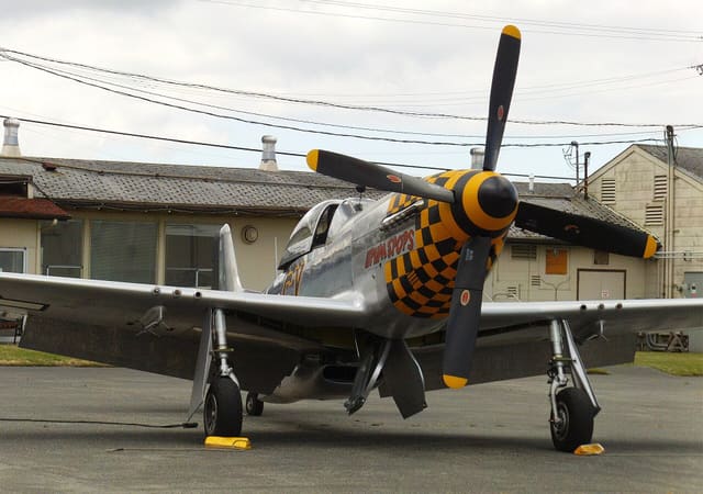- Warbird
