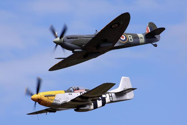 - Warbird