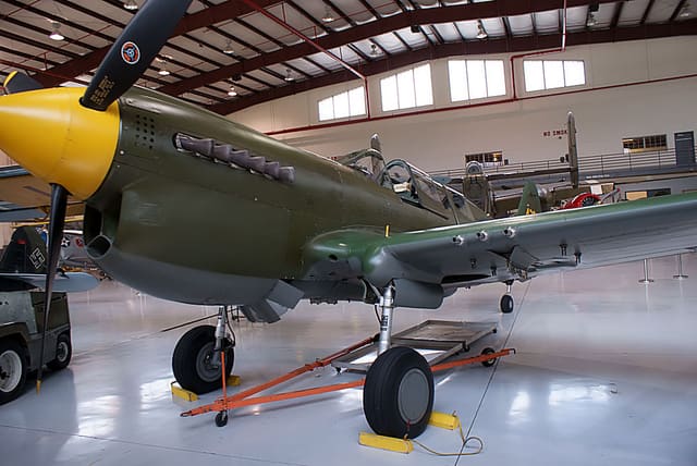 - Warbird