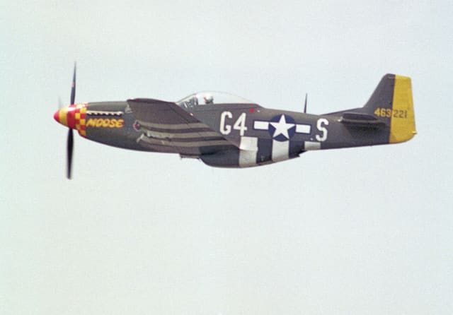 - Warbird