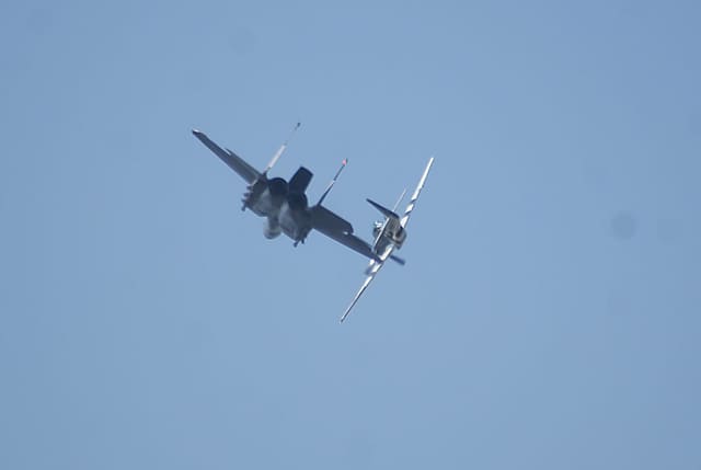 - Warbird