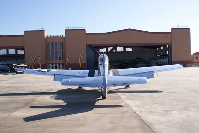 - Warbird