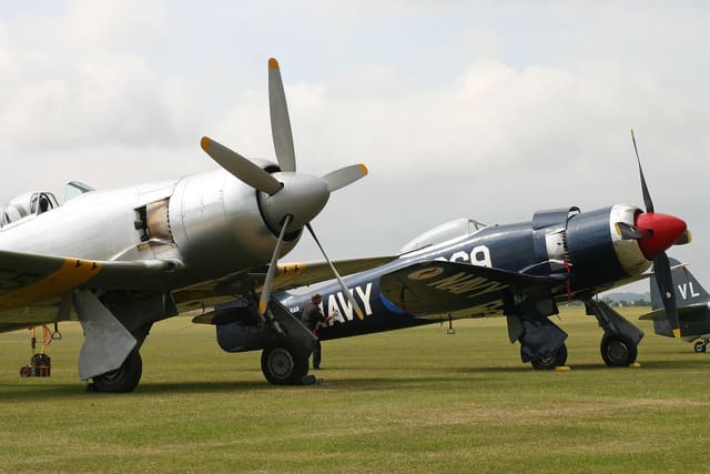- Warbird