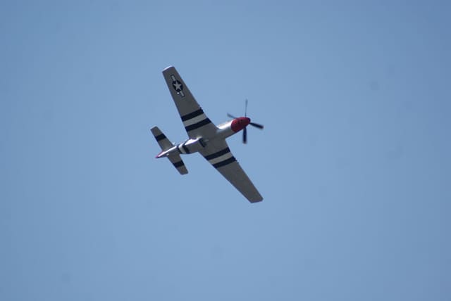 - Warbird