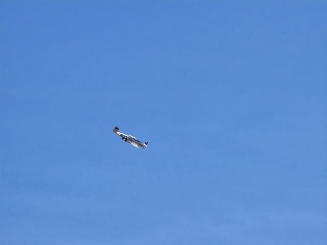 - Warbird