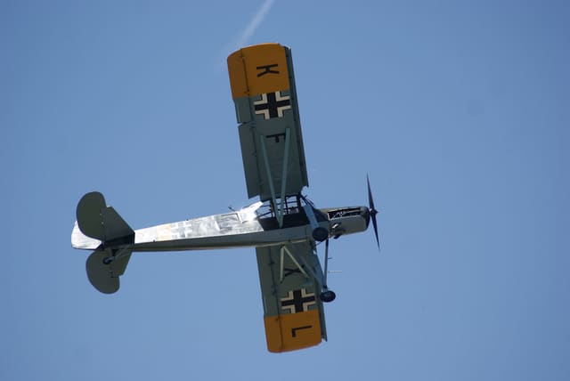 - Warbird