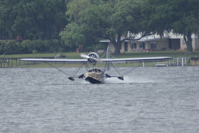 - Single-engine aircraft