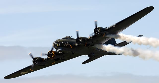 - Warbird
