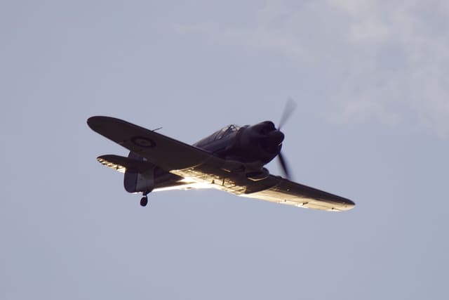 - Warbird