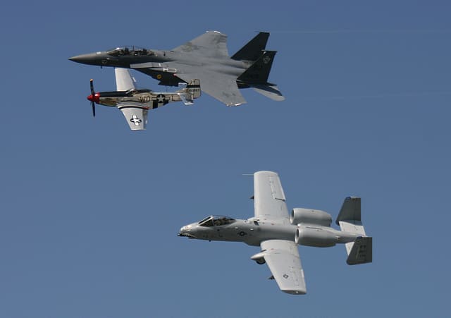 - Warbird