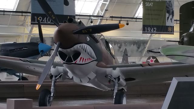- Warbird