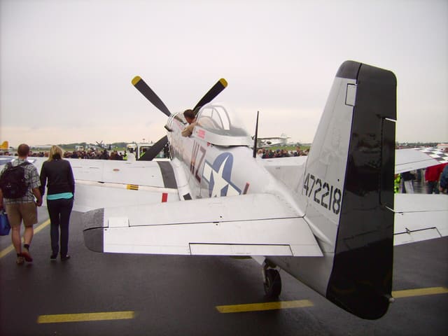 - Warbird