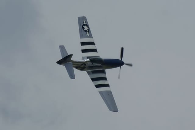 - Warbird