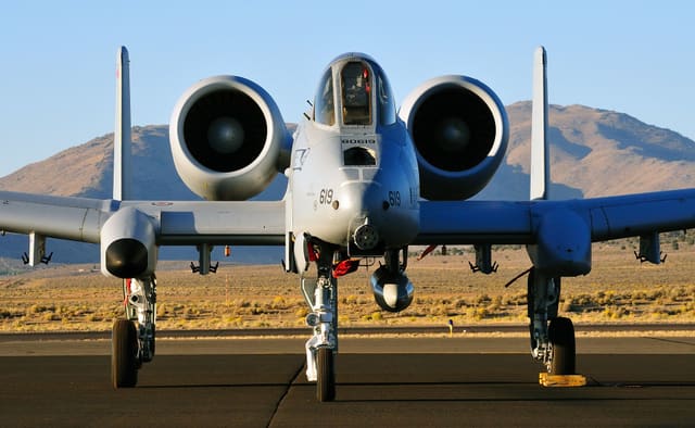 - Warbird