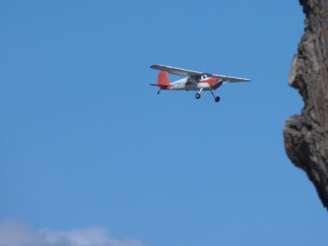 N72431 — Single-engine aircraft