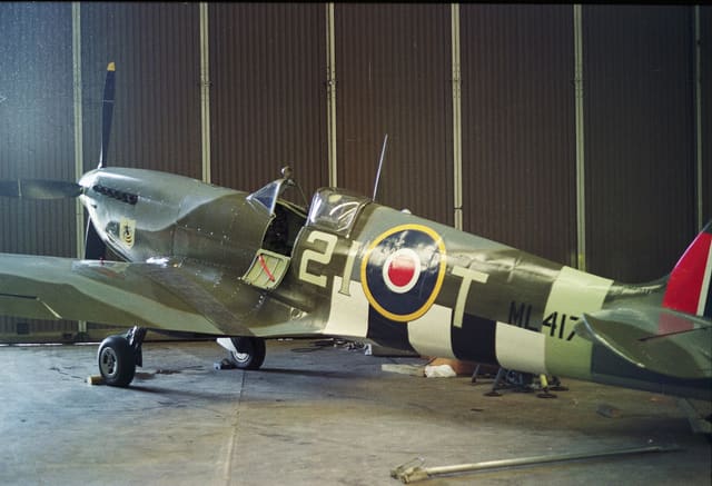 - Warbird