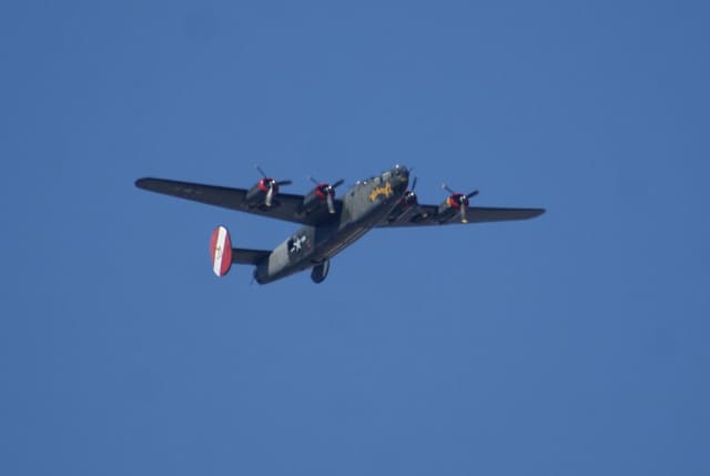 - Warbird